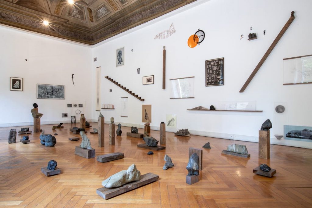 immagine per Installation View. Riccardo Arena: Hyphae - ph. Roberto Marossi