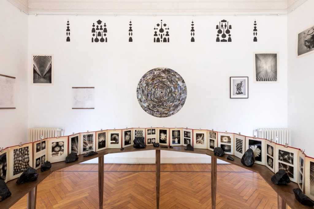immagine per Installation View. Riccardo Arena: Hyphae - ph. Roberto Marossi