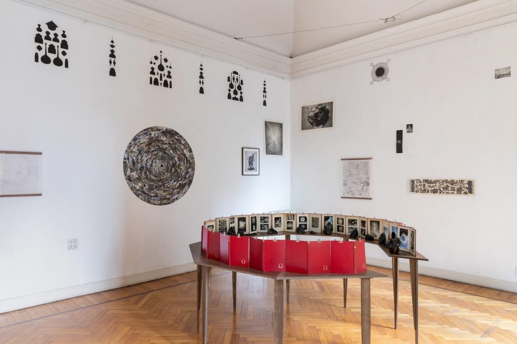 immagine per Installation View. Riccardo Arena: Hyphae - ph. Roberto Marossi
