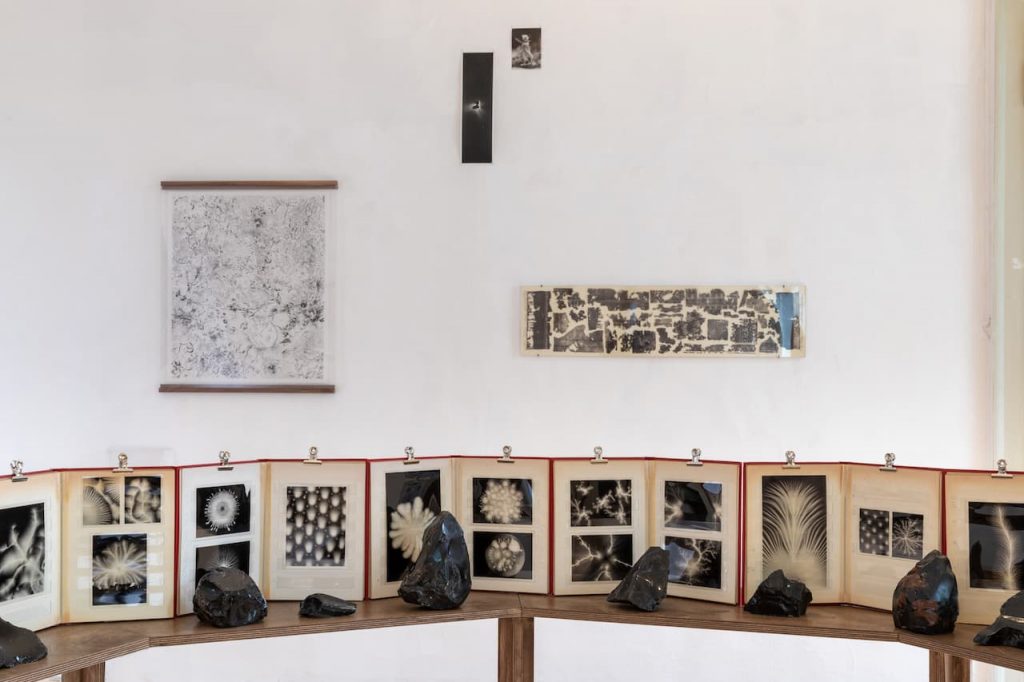 immagine per Installation View. Riccardo Arena: Hyphae - ph. Roberto Marossi