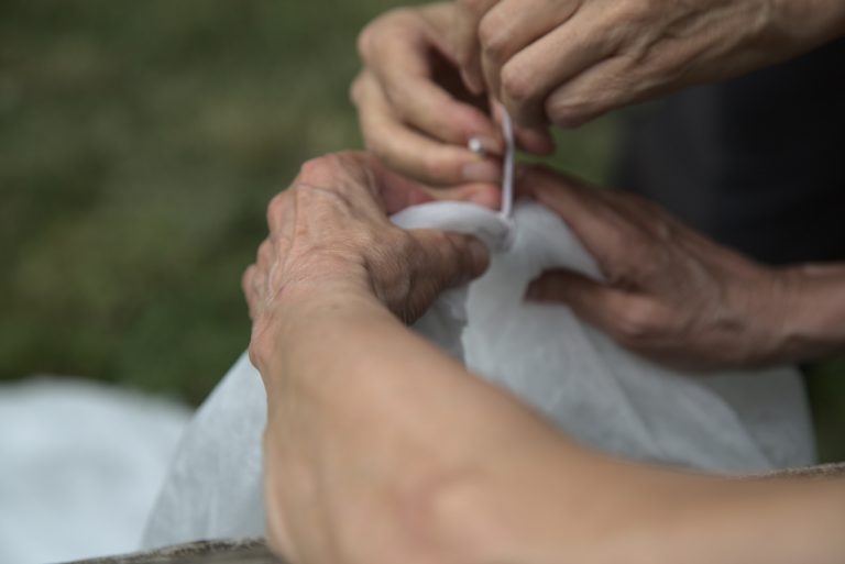 immagine per Le alleanze dei corpi
