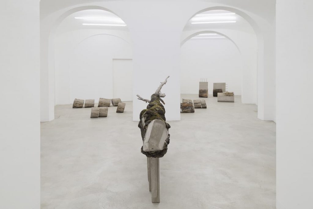 Immagine per Installation view Stefano Canto Carie 2021. Courtesy of the artist and Matèria Roma. Photo Roberto Apa