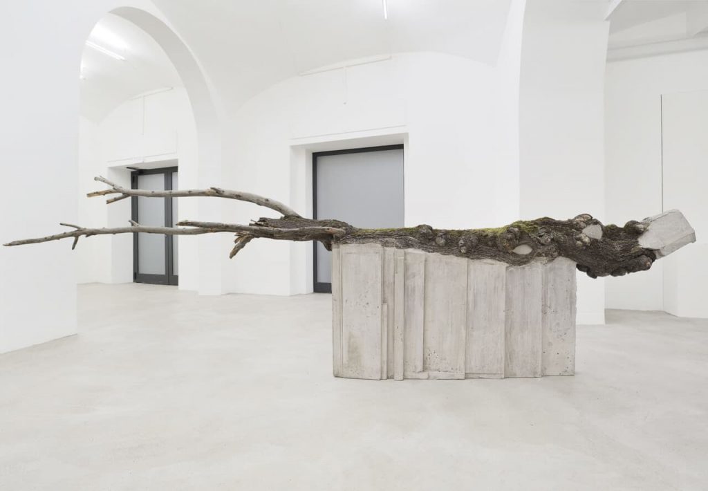 Immagine per Installation view Stefano Canto Carie 2021. Courtesy of the artist and Matèria Roma. Photo Roberto Apa