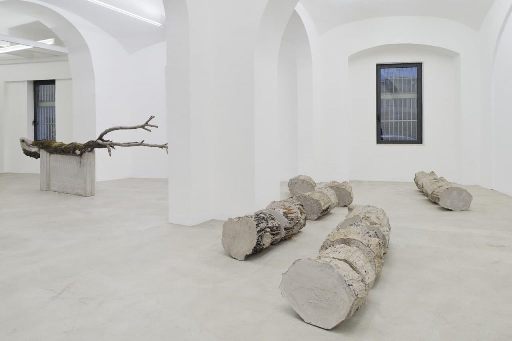 Immagine per Installation view Stefano Canto Carie 2021. Courtesy of the artist and Matèria Roma. Photo Roberto Apa