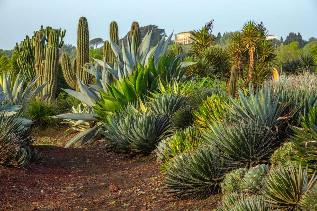 immagine per Radicepura Garden Festival