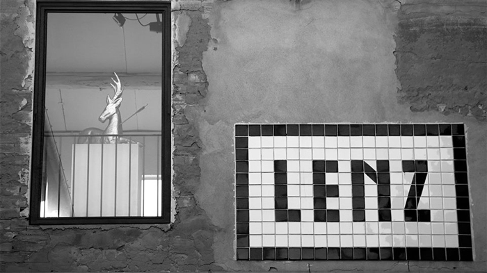 immagine per Lenz