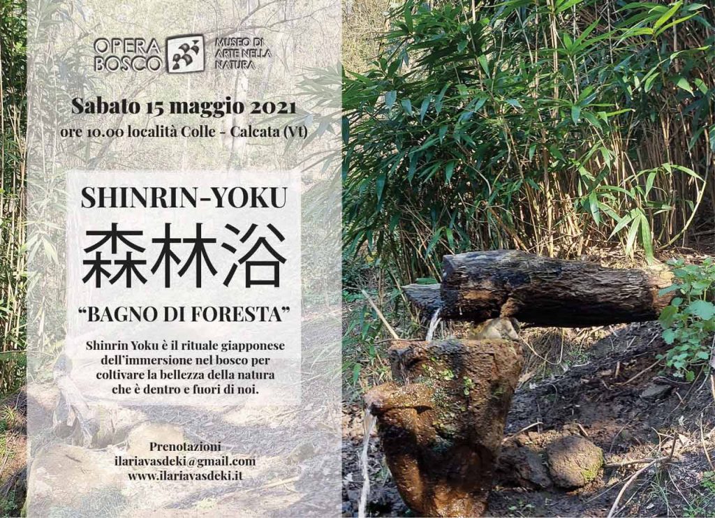 immagine per Shinrin Yoku