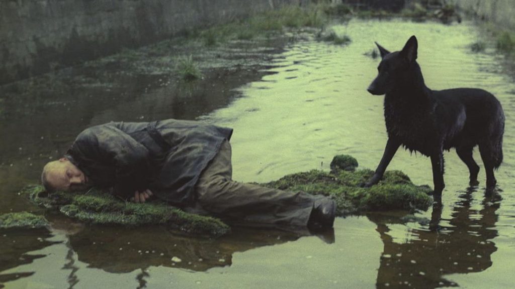 Immagine per Love Canal tratta da Stalker, 1979 Tarkovskij