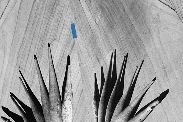 immagine per Marco Maria Zanin Parentele di terra