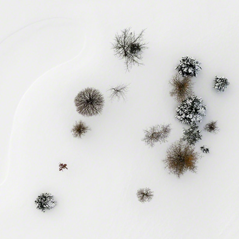 immagine per Kacper Kowalski