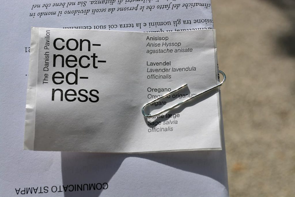 immagine per 17. Mostra Internazionale di Architettura La Biennale di Venezia. Padiglione della Danimarca, con-nect-ed-ness (ph Manuela De Leonardis)