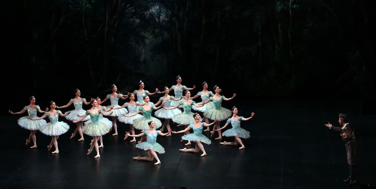 immagine per Accademia del Teatro alla Scala Don Chisciotte