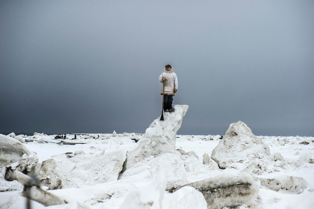 immagine per Pangea Photo Festival
