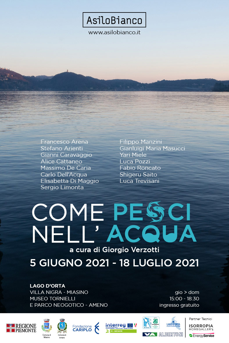 immagine per Come pesci nell'acqua