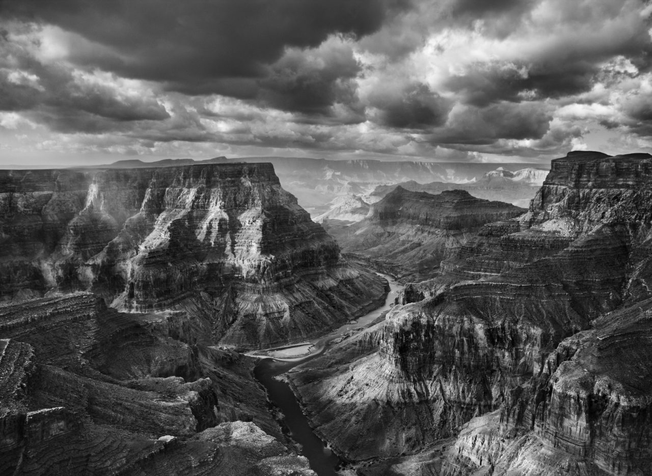 immagine per Handke Wenders Salgado