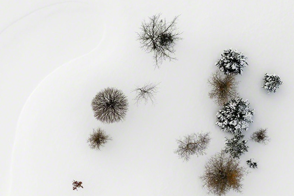 immagine per Kacper Kowalski
