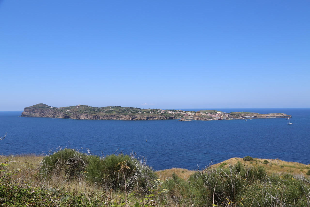 immagine per Gita al faro