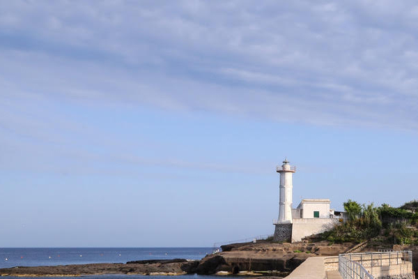 immagine per Gita al faro