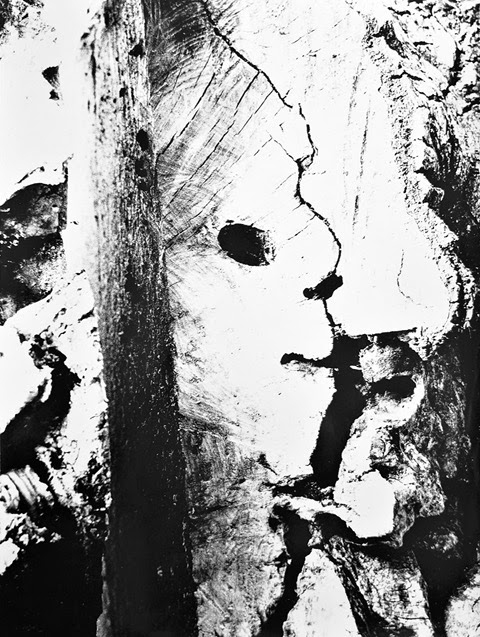 immagine per Giacomelli