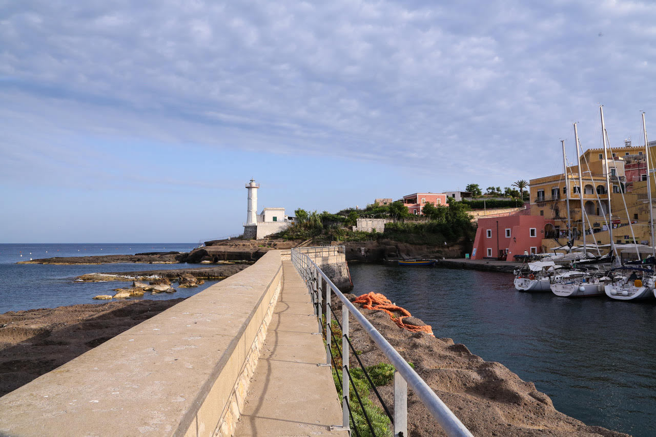 immagine per Gita al faro