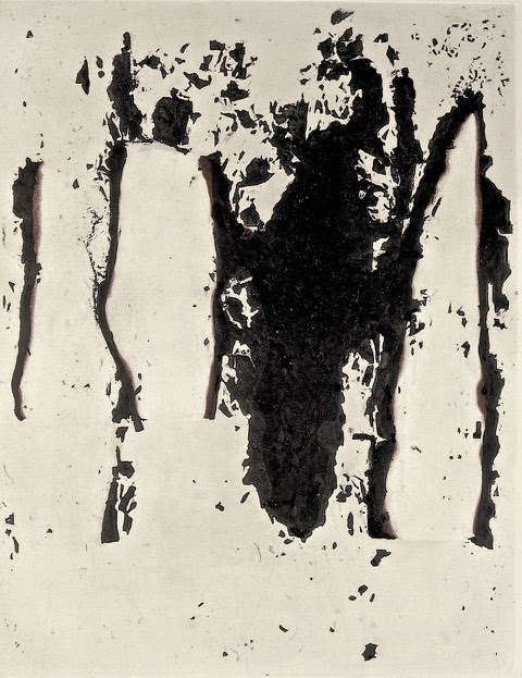 immagine per Burri