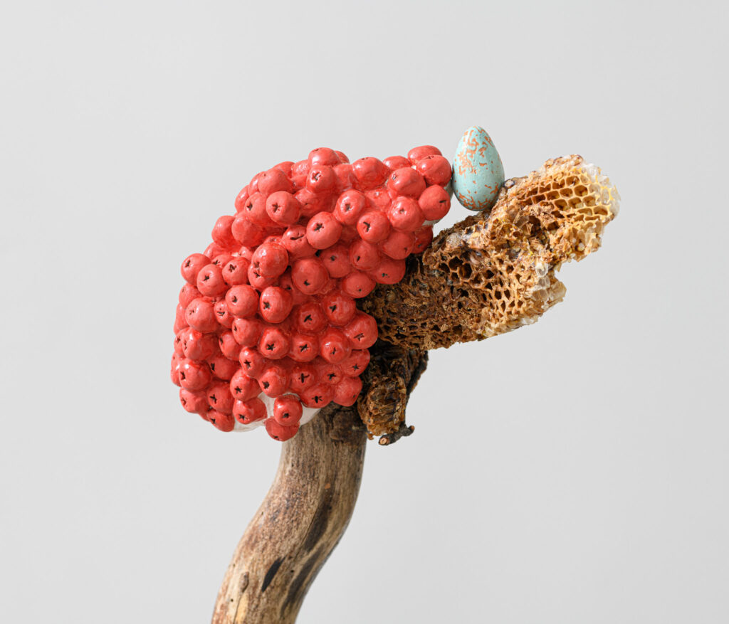 immagine perDimore - Mariana Ferratto, Rowena Harris, Luana Perilli. Roma, The Gallery Apart
