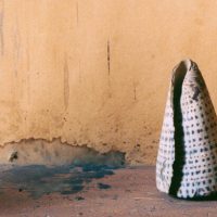 immagine per Letteratura Inaspettata #62. Cara Pace di Lisa Ginzburg. Storia di due orfane “senza esserlo”
