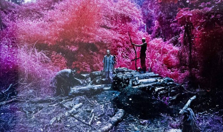 immagine per Richard Mosse con Displaced. La nuova frontiera del fotoreportage. Al MAST di Bologna