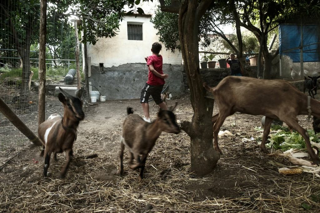 immagine per Claire Power, La Montagna