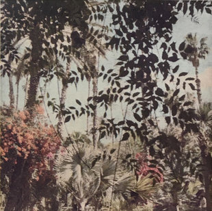 immagine per FLORE, Marocco, un tempo sospeso (Postcart) pag. 39