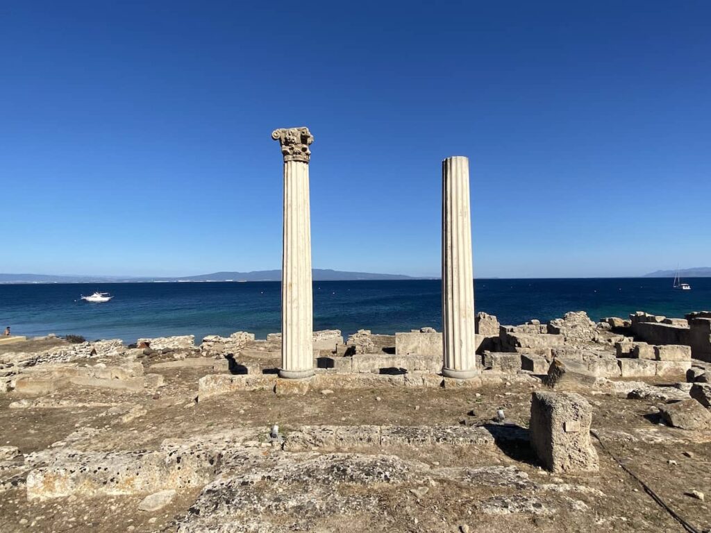immagine per Foto 6: Anastilosi e integrazione di due colonne del tempio tetrastilo Credit: Roberto Civetta