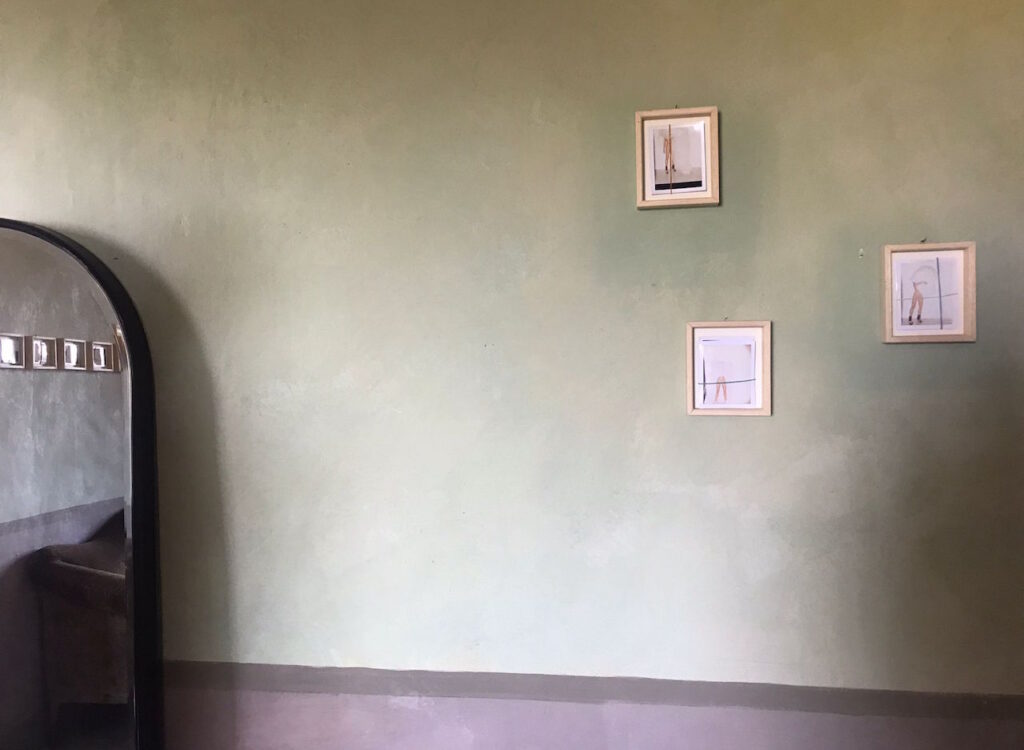 immagine per fratelli calgaro La natura ama nascondersi.