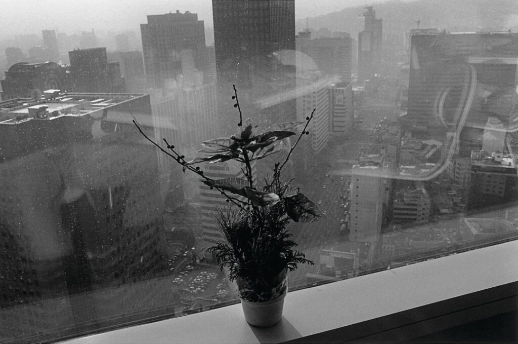 immagine per Lim Young Kyun