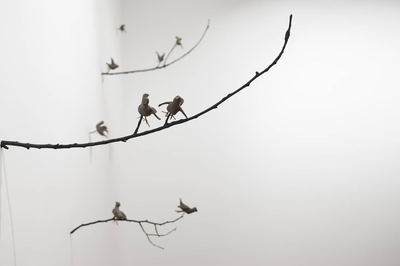 immagine per Galleria Continua. Sabrina Mezzaqui, la poesia di Elisa Biagini