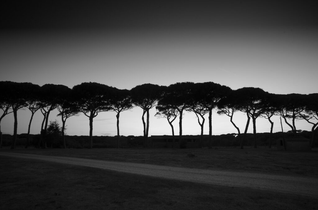 immagine per Giancarlo Pediconi mostra Roma e altrove