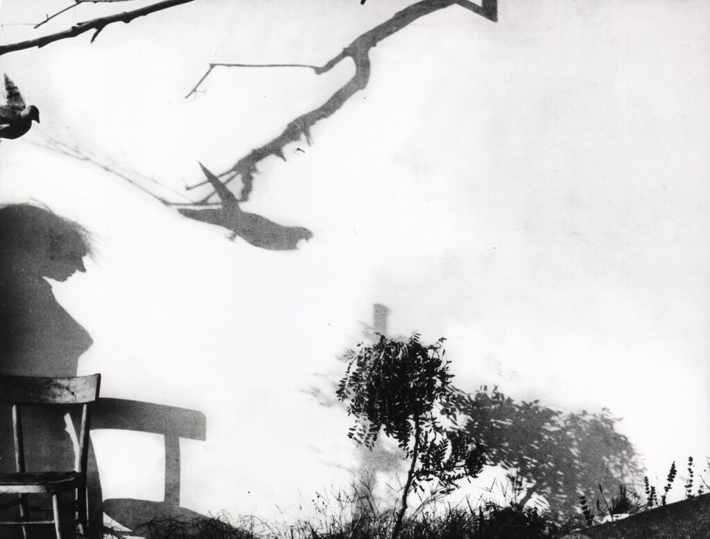 immagine per Mario Giacomelli. Tempo di vivere