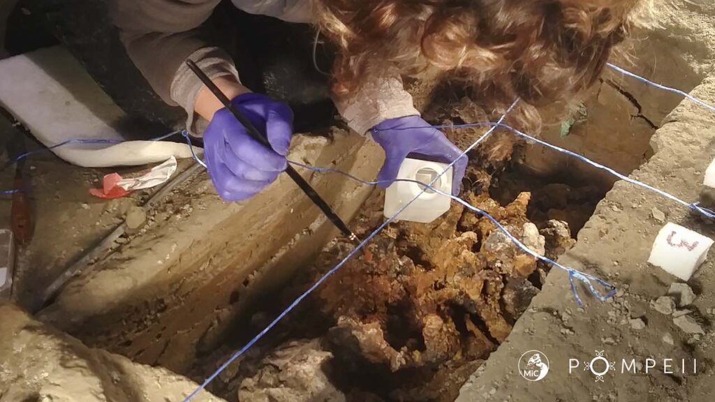 immagine per Pompei. Nuova eccezionale scoperta. Trovata la stanza degli schiavi