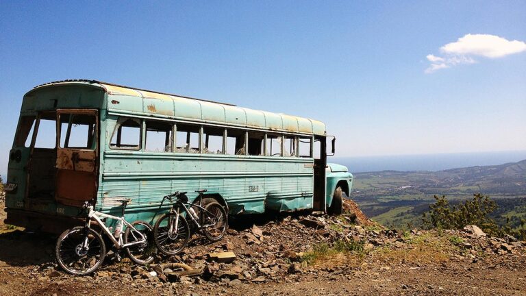 immagine per Un'intervista selvaggia all'antropologo Matteo Meschiari, Into the WIld