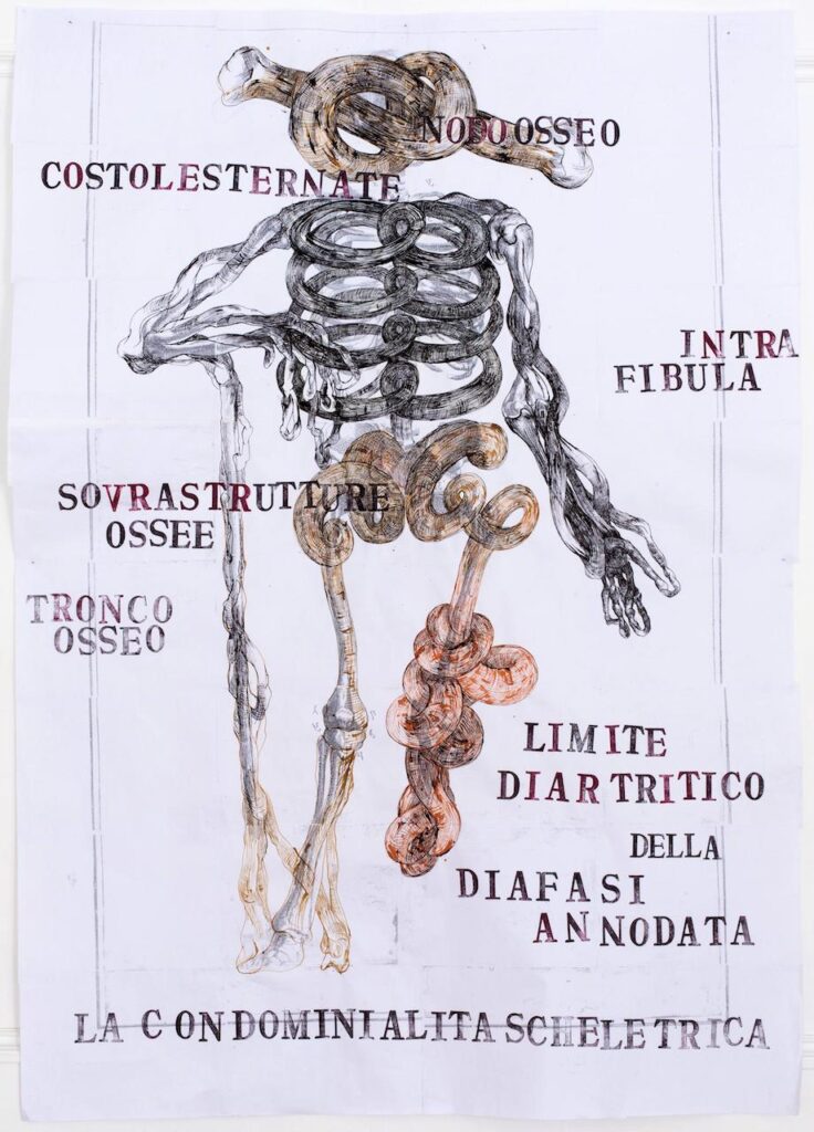 immagine per Sissi: Sacri Indici LabOratorio degli Angeli, Bologna