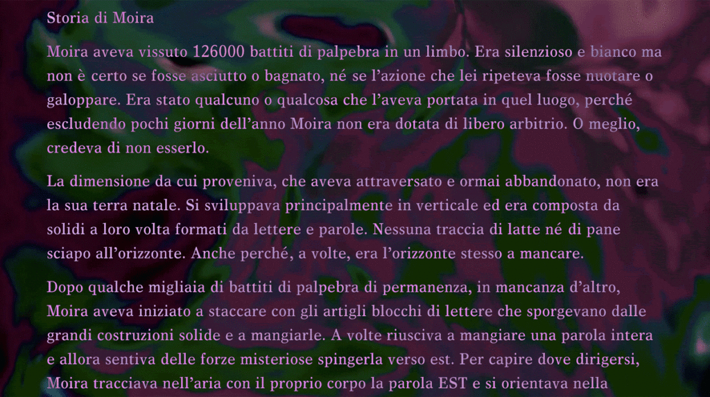 immagine per MACTE
