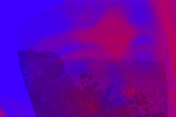 immagine per Sonora Desert Muta Imago