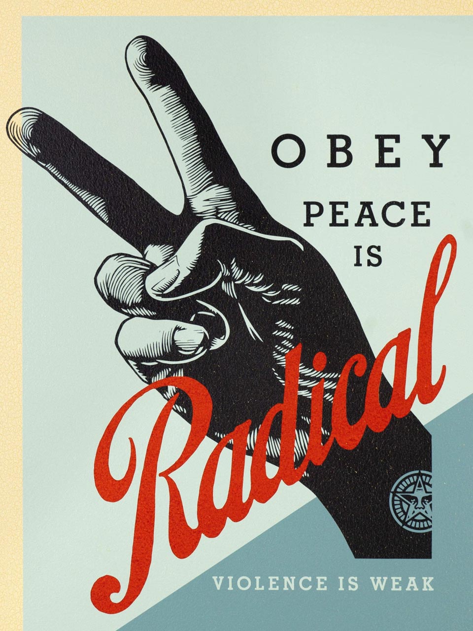 immagine per Shepard Fairey