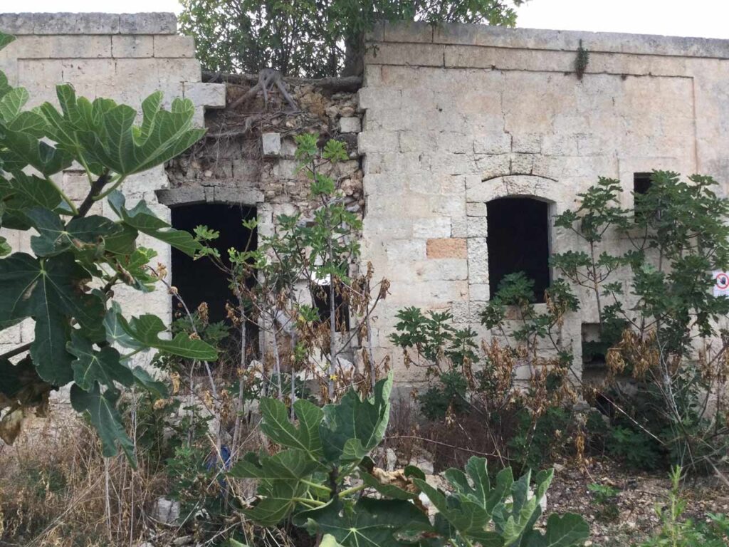 immagine per Guillermina De Gennaro