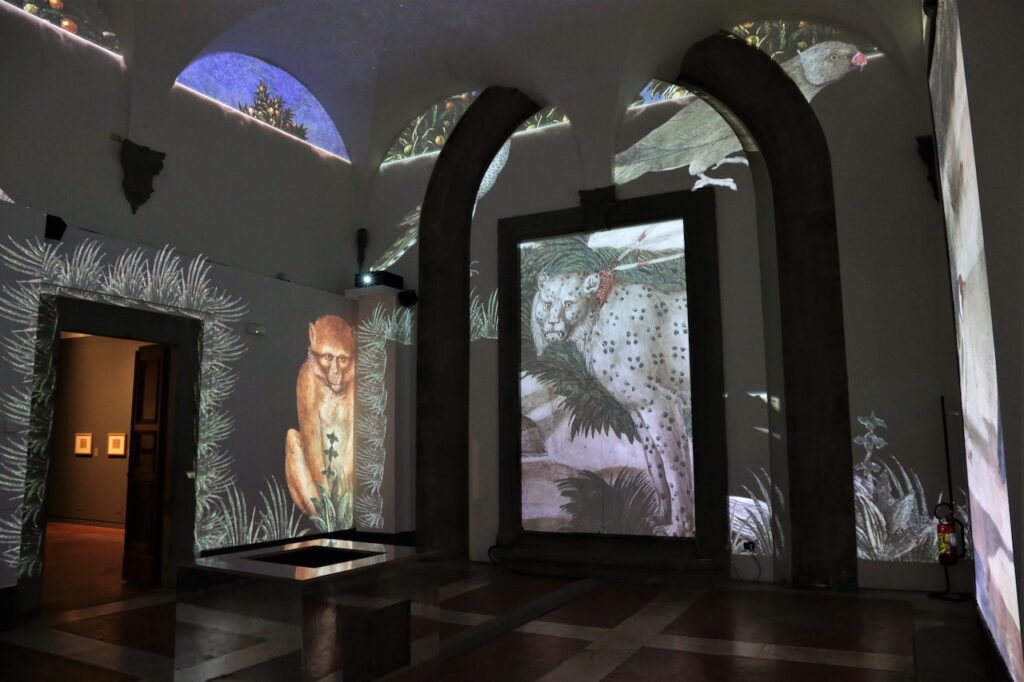 immagine per Benozzo Gozzoli e la Cappella dei Magi, al Museo di Palazzo Medici Riccardi Firenze