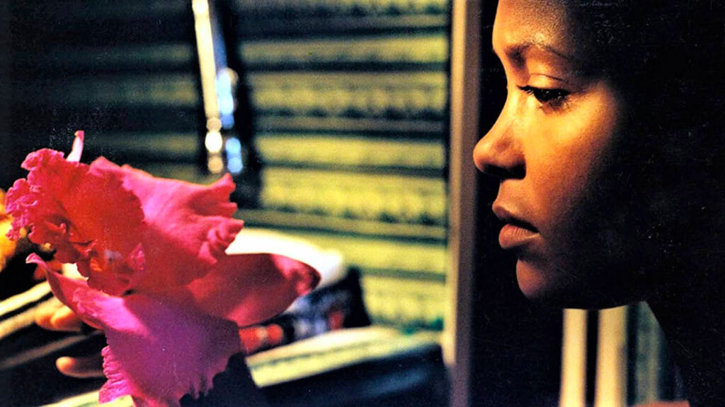 immagine per L'assedio sceneggiatura di Clare Peploe, Bernardo Bertolucci
