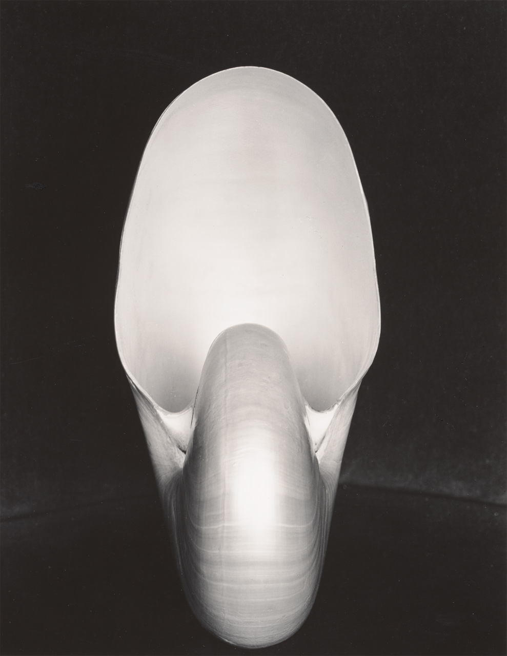 immagine per Brescia Photo Festival 2022