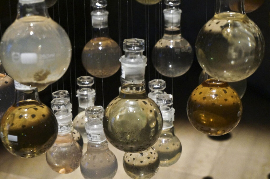 immagine per Anaïs Tondeur