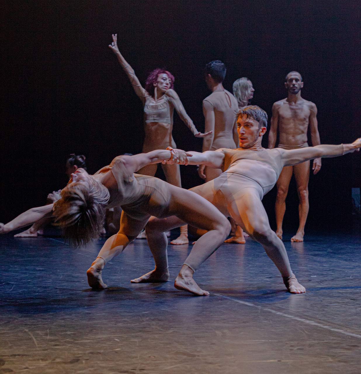 immagine per Audizione EgriBiancoDanza