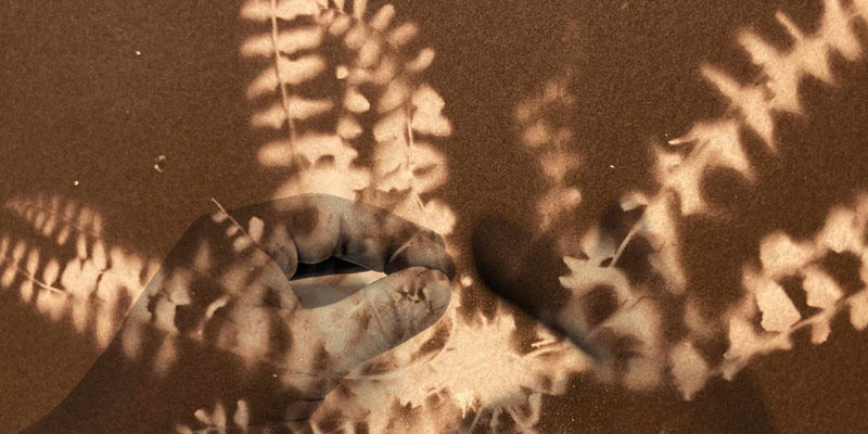 immagine per Alessandra Calò Herbarium