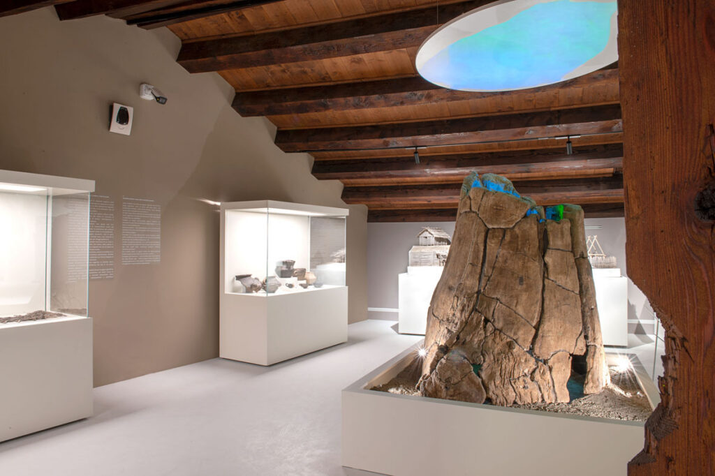 La difesa della bellezza. Veneto. Museo Archeologico Nazionale di Verona